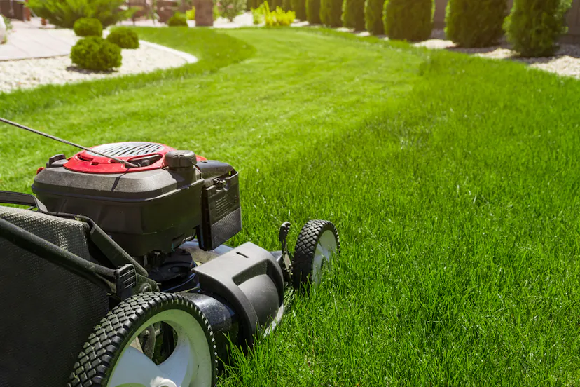 A lawn Mover is cutting grass of a garden in Essex UK